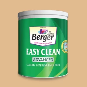 EASY CLEAN ADVANCE